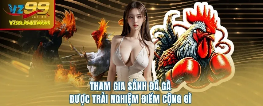 Tham gia sảnh đá gà được trải nghiệm điểm cộng gì?