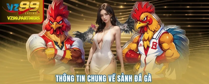 Thông tin chung về sảnh đá gà